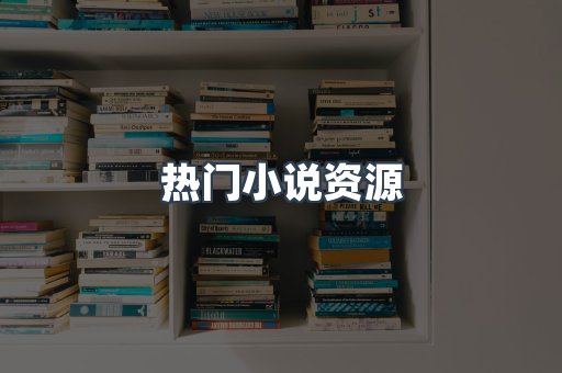 热门小说资源
