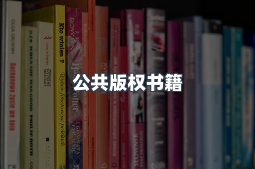 公共版权书籍